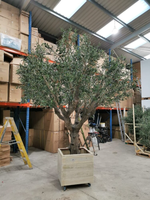 Arbre de lune géant décoratif personnalisé pour le Ramadan, grands arbres artificiels de Moringa et de Magnolia, faux olivier artificiel