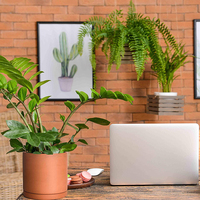Vente en gros de pots de fleurs en céramique de terre cuite, design personnalisé, pour jardinage intelligent, jardinières pour plantes succulentes, pots en terre cuite pour plantes