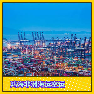 Logistique aérienne et maritime Hon Hai Afrique : Transport de fret en Afrique, dédouanement en 10 à 45 jours - Product Image 4