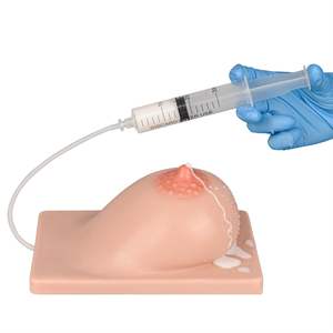 Modelo De Mama De Lactação Com Função De Expressão De Leite Modelo Educacional De Pano De Mama Modelo De Ensino Simulação Molde De Mama - Product Image 4