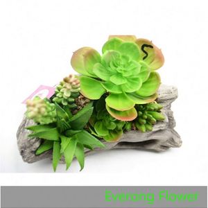 <span class=keywords><strong>Artificial</strong></span> planta suculenta em vaso planta para <span class=keywords><strong>home</strong></span> office decoração 1942037 mini planta - Product Image 3