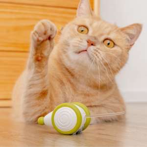 Mainan Gigit Interaktif untuk Kucing Cheerble Eco-Friendly PVC Wicked Mouse Charging Port Toy Modern Sport - Product Image 1