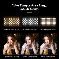 Pro LED 600 photographie LED panneau lumineux caméra téléphone Selfie diffusion en direct beauté maquillage Photo Studio vidéo Film film lampe plate