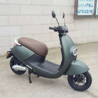 Factory Direct 1000W Electric Motorcycle Adults Scooter Two Wheels Long Seat Scooter for Adults Electric Motorbike Motorcycle