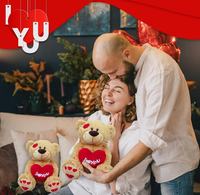 Je t'aime ours en peluche 14 pouces ours en peluche avec oreiller coeur rouge cadeau en peluche Animal en peluche