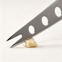 Couteau à fromage en acier inoxydable 430, fourchette à fromage, pelle à gâteau, ensemble d'outils à fromage avec manche en bois