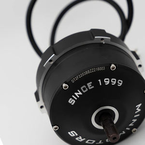 Moteur <span class=keywords><strong>Minimotors</strong></span> 72V pour Trottinette Électrique Dualtron <span class=keywords><strong>Thunder</strong></span> 2 – Pièces Détachées Dualtron, Meilleur Prix - Product Image 2