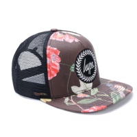 Diferentes tipos de gorras de béisbol chinas con logotipo de empresa