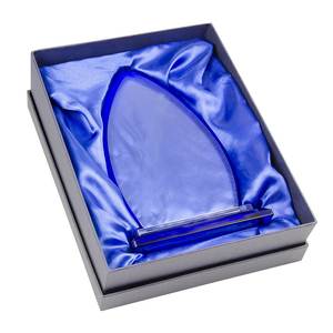 Trofeo Decorativo in Vetro Trasparente Blu 190X120X10 Mm Design Moderno per Esposizione Premi - Product Image 3