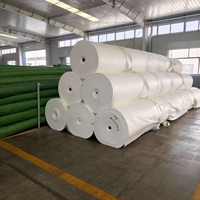 Géotextile non tissé léger en PP, résistant aux déchirures, pour la filtration agricole, la séparation des sols et l'ingénierie des serres