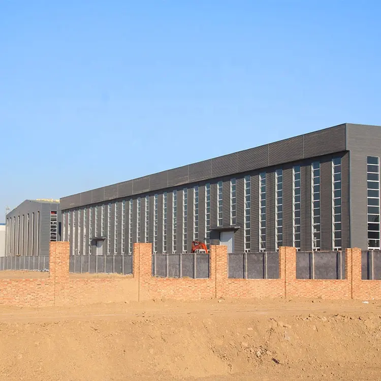 Estructura de acero personalizada, cobertizo, empresa de diseño de fabricación, estructura de acero, edificio de almacén en China