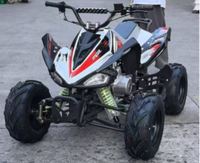 Mini quad à essence, véhicule tout-terrain à quatre roues, buggy tout-terrain, véhicule de plage pour enfants, équipement de course pour parcs d'attractions
