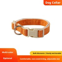 Nouveau collier pour chien en sangle tissée en plastique PET, doux, respirant, réglable, confortable, ne serre pas le cou, simple, classique, léger