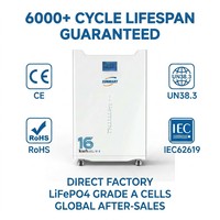 Batterie au lithium haute capacité 51.2V314AH 16KW Lifepo4 pour système solaire hybride 16KWH48V Batterie solaire