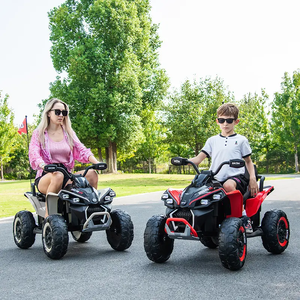 Quad Elettrico a Batteria da 24V per Bambini, Mini ATV a Quattro Ruote, Macchina Giocattolo da Spiaggia - Product Image 3