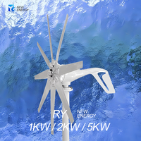Générateur de vent électrique système domestique moulin à vent niveau de puissance 2000W 12V 24V 48V éolienne