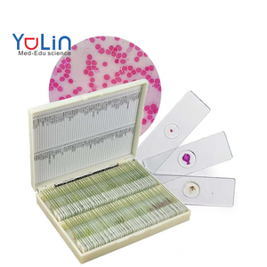 Material Didáctico Biológico YULIN, <span class=keywords><strong>Microscopio</strong></span> de Hematología Profesional, Portaobjetos Preparados, Hematograma, 25.4x76.2x1.2mm, Caja de Plástico/Madera - Product Image 1