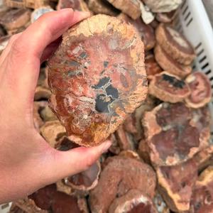 Tranche de bois fossile en cristal naturel de différentes tailles, cristal poli, dalle de bois pétrifié, tendance de la mode, décoration de la maison pour la Saint-Valentin - Product Image 4