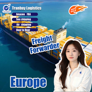 Ddp giá rẻ biển/không khí vận chuyển đến UK/USA/Đức FBA Amazon kho từ Trung Quốc đại lý vận chuyển - Product Image 4