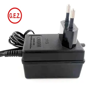 Benutzer definierte AC 110V 120V 230V DC 1a 2a 24V 15V lineare elektrische Spielzeug auto Ladegerät 12V 6V