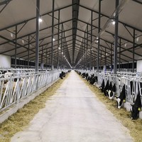 Nave prefabricada de estructura de acero ligero de China para ganado ovino, caprino y otros animales, diseño de taller y establo.