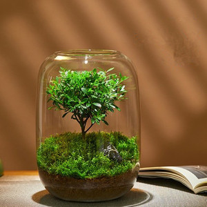 Vente <span class=keywords><strong>en</strong></span> gros de décoration d'intérieur pot de plantes artificielles <span class=keywords><strong>en</strong></span> <span class=keywords><strong>verre</strong></span> transparent soufflé à la main micro paysage <span class=keywords><strong>bouteille</strong></span> <span class=keywords><strong>en</strong></span> <span class=keywords><strong>verre</strong></span> <span class=keywords><strong>terrarium</strong></span> fait à la main moderne - Product Image 3