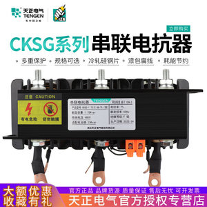 Tianzheng CKSG Series Reactor 30KVAR 0.525KV 12% <b>Iron</b>-Core For Capacitor Bank Harmonic Suppression - Product Image 5