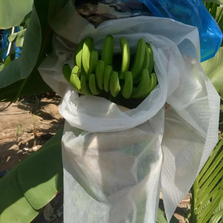 農業防水生分解性スパンボンドポリプロピレン植物カバー生地不織布果物保護バナナバッグ