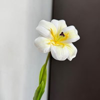 Bunga Tulip Buatan EVA Real Touch Tangkai Tunggal Kelopak Terbuka untuk Dekorasi Rumah, Rangkaian Bunga, Buket Pernikahan
