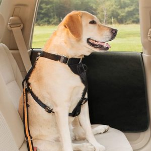 Funda Protectora para Asiento de Coche para Mascotas, Protector de Asiento Trasero Impermeable de PVC Rectangular Negro para Protección en Viajes con Perros - Product Image 2