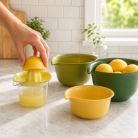 Ensemble de 4 bols mélangeurs empilables avec presse-agrumes manuel, bols de préparation en plastique avec bec verseur, outils de cuisine et de pâtisserie peu encombrants
