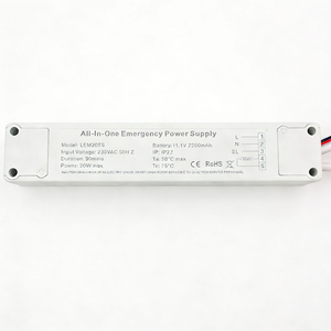 Convertisseur LED d'urgence AC-DC double sortie 20W avec boîtier en plastique, efficacité 90-99%, certifié ROHS, garantie 2 ans - Product Image 3