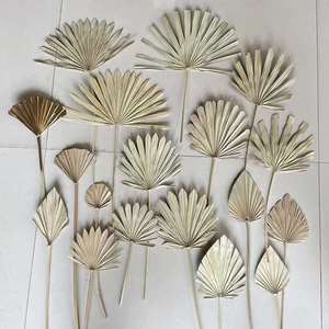 Nouveau conçu fleur séchée feuille d'éventail feuille de palmier séchée naturelle pour la décoration de fête de mariage Vase bureau maison Boho décor - Product Image 1
