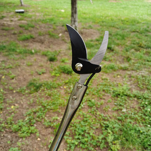 Cisailles de jardinage DIY à <span class=keywords><strong>prix</strong></span> <span class=keywords><strong>d</strong></span>'usine, manche en PVC 65 # Lame en acier MN allongée pour branches <span class=keywords><strong>d</strong></span>'arbres, diamètre de coupe 20 mm - Product Image 1