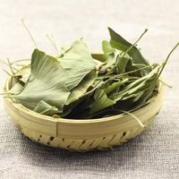 Ginkgo-Blatt