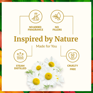 Aceite Esencial de Manzanilla Orgánico Natural de 30 ml, Aceite Aromático <span class=keywords><strong>para</strong></span> Aromaterapia, Difusor, Cuidado de <span class=keywords><strong>la</strong></span> Piel, Cuidado del Cabello, Perfume, Fabricación de Velas - Product Image 3