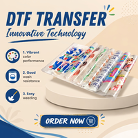 Film PET DTF double face pour transfert thermique sur t-shirts, impression de dessins animés et film d'impression DTF lavable