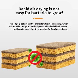 Biodegradable Coconut Household Cleaning <strong>Sponge</strong> Eco Friendly <strong>Washing</strong> <strong>up</strong> <strong>Sponge</strong> Nature Kitchen <strong>Sponge</strong> - Product Image 6