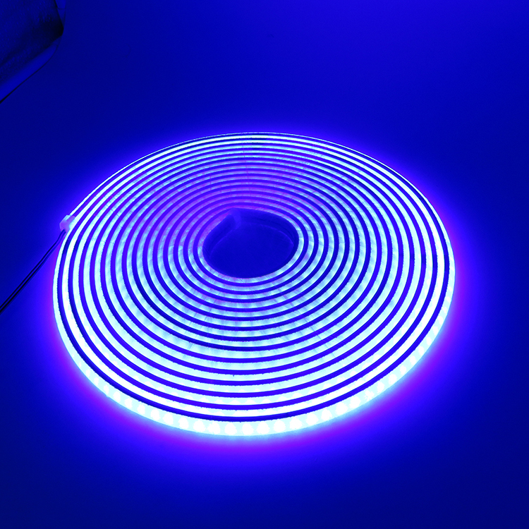 ETOP LED Ribbon Neon Light IP67 Warm White 3500K RGB PVC 12V Flexible Soft LED Neon Light Strip Remote Control for Theme Park