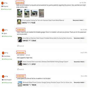 <span class=keywords><strong>Toldo</strong></span> Premium para Auto de 20 x 20, Cubierta Personalizada para Auto con Marco Metálico para Refugio Exterior - Product Image 5