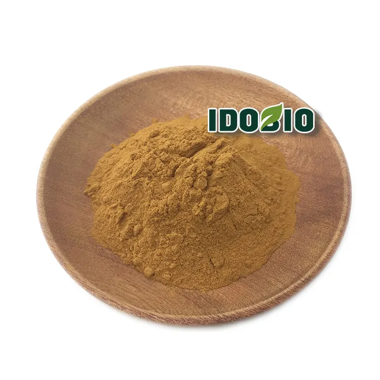 Ginkgo Biloba Leaf Extract 24% Flavones 6% Terpene Lactones