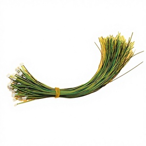 12 वी टिन प्लेटेड कॉपर कंडक्टर पीवीसी इन्सुलेशन और 2-पिन एडाप्टर - Product Image 5