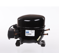 Compresseur de déshumidificateur R134A 110-120V 60HZ à prix d'usine pour la réfrigération, compresseur hautement performant pour réfrigérateur intelligent