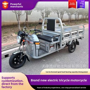 รถ<span class=keywords><strong>สามล้อ</strong></span><span class=keywords><strong>ไฟฟ้า</strong></span> 48V 800W รับน้ำหนัก<span class=keywords><strong>ได้</strong></span>สูง 500 กก. จักรยานไฟฟ้า<span class=keywords><strong>สามล้อ</strong></span>สำหรับส่งของ พร้อมห้องโดยสาร มาตรฐาน CE - Product Image 5