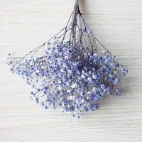 Bouquet de fleurs séchées et stabilisées Gypsophila Softdream en gros pour la décoration – Souffle de bébé