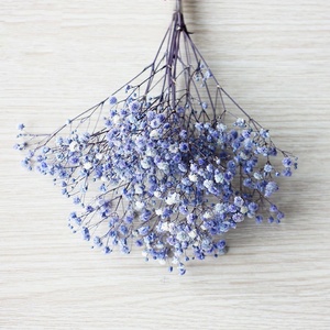 Softdream - Decoración al por Mayor, Flores Secas, <span class=keywords><strong>Ramo</strong></span> de Gypsophila Preservada, Flores Secas Preservadas, Baby's Breath para Decoración - Product Image 5