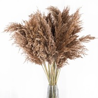 Herbe de la Pampa séchée, mini roseaux naturels teintés, fleurs séchées pour la décoration bohème de la maison