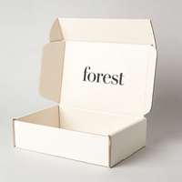 Caja de Cartón Corrugado con Logotipo Personalizado para Envío Postal Seguro y Embalaje de Productos Cosméticos y de Belleza