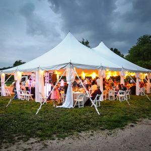 Grande tente de réception imperméable pour mariage, tentes d'événements durables, carpas para eventos, structure de tente à <span class=keywords><strong>12</strong></span> poteaux pour événements, fêtes en plein air - Product Image 3