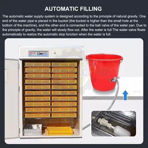 Nhà Máy Giá năng lượng mặt trời Powered Vườn Ươm nuôi Nở trứng năng lượng mặt trời trứng Máy ấp trứng chất lượng cao Tất cả tự động - Product Image 5